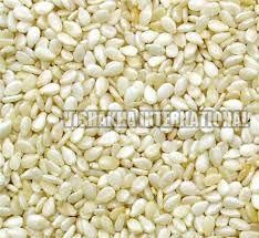 White Sesame Seed