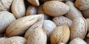 Kashmiri Almonds