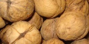 Kashmiri Walnuts