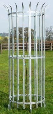 Mild Steel Tree Guard