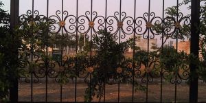 Stainless Steel Garden Railings