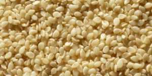 Mechanically Hulled Sesame Seeds
