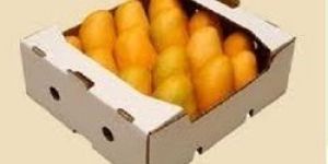 Mango Packaging Boxes