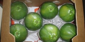 Papaya Packaging Boxes