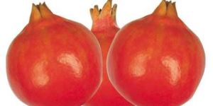 Red Pomegranate