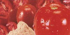 Spray Dried Tomato Powder