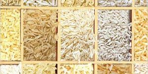 Indian Rice