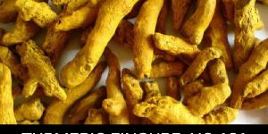 Turmeric Finger