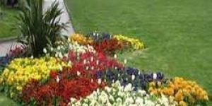 Horticulture Consultancy