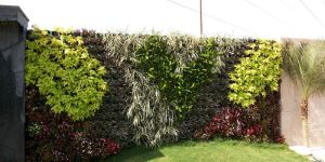 Vertical Garden Installation