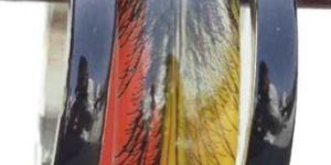 Resin Bangles (ace-4587)