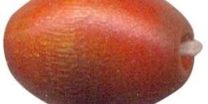 Wooden Bead - (wdn - 143)