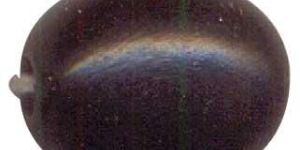 Wooden Bead (WDN - 144)