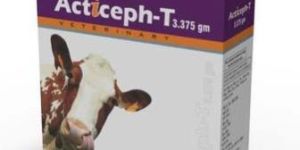 Acticeph-T Injection (3.375 gm)