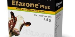 Efazone Plus Injection