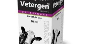 Vetergen Maleate Injection