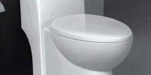Ceramic One Piece Toilet