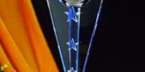 WA0017 Award Trophy