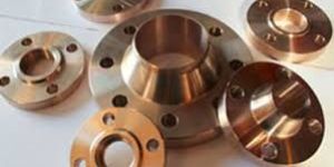 Nickel Flanges