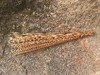 Coconut Broom Sticks