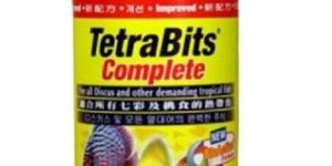 Tetrabits