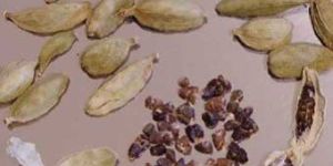 Cardamoms