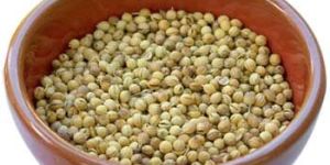 Coriander Seeds