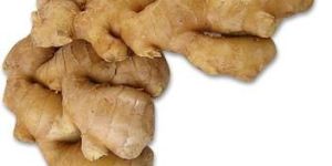 Ginger Oil- Zingiber Zanziber