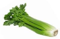 Celery