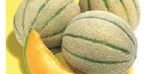 Fresh Muskmelon