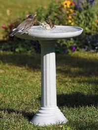Bird Baths