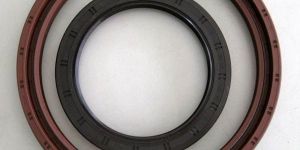Oil Seals