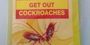 Cockroach Repellent Paste