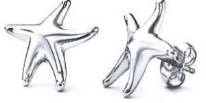 Sterling Silver Earrings