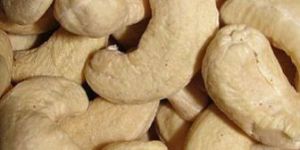 Cashew Nut