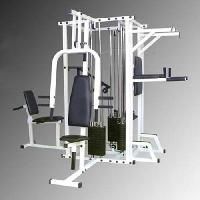 Multi Staion Gym Machine