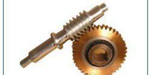 Worm Gears