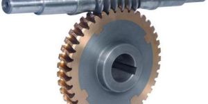 Worm Wheel Gears