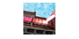 Sodium Silicate High Temperature Conveyors