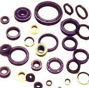 Oil Seals