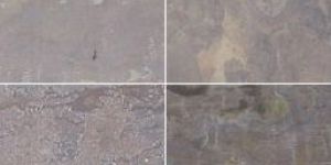 Vinikonda Gold Slate