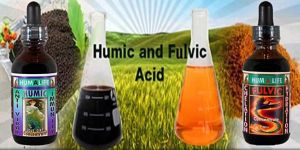 Humic and Fulvic Acid