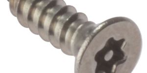 Torx Screw