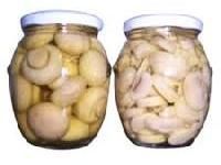Canned Mushroom