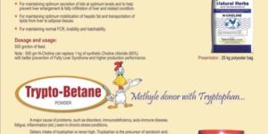 N Choline, Trypto Betaine