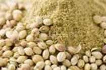 Coriander Powder