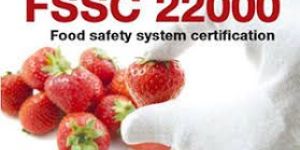 FSSC Consultancy and Certification Services