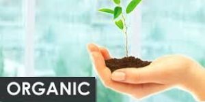 Organic Consultancy and Certification Services