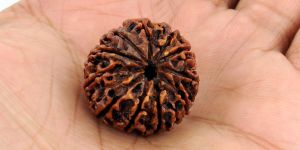 Rudraksh