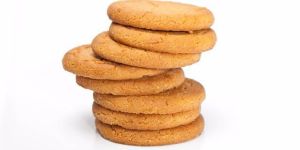 Protein Diskettes 1.4%